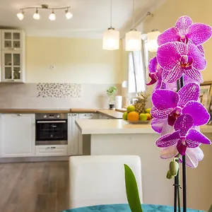 Apartman Maxim Pula
